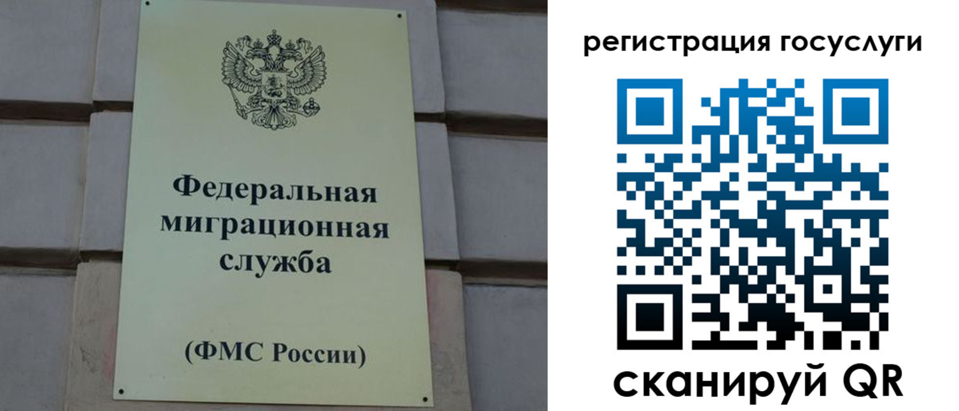 временная регистрация поиск в Владимире